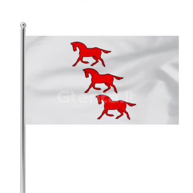 Dusetos vėliava