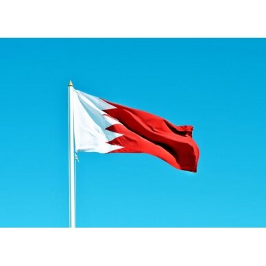 Bahreino vėliava 2