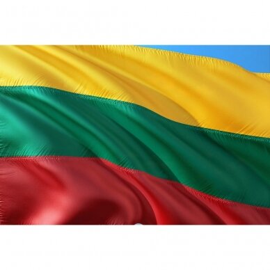 Bet kokio dydžio Lietuvos valstybinė vėliava