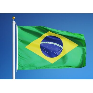 Brazilijos vėliava 1