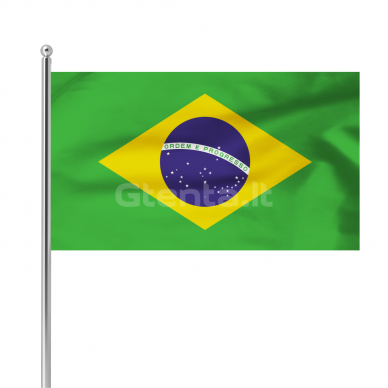 Brazilijos vėliava