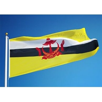 Brunėjaus vėliava 2