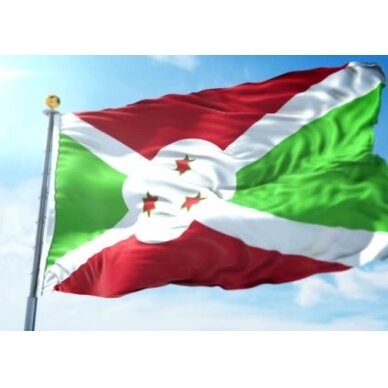 Burundžio vėliava 2