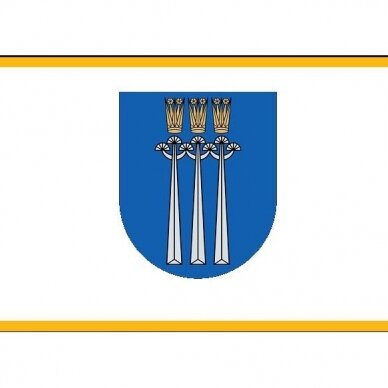 Druskininkų vėliava