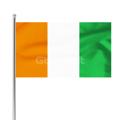 Dramblio Kaulo Kranto vėliava