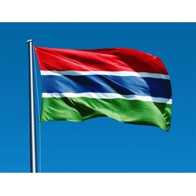 Gambijos vėliava 2