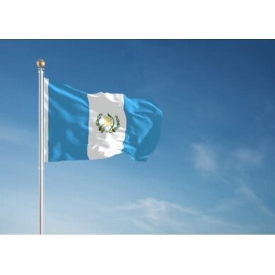 Gvatemalos vėliava 2