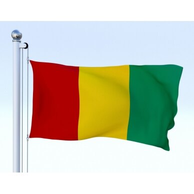 Gvinėjos vėliava 2