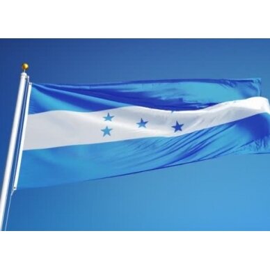 Hondūro vėliava 2