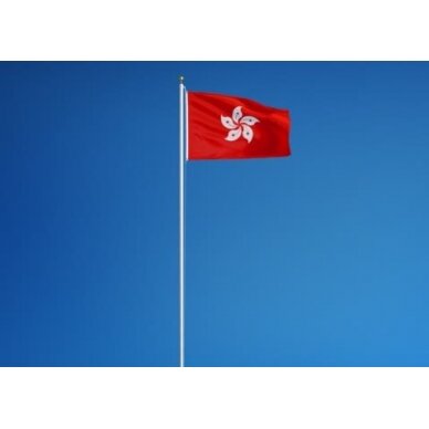 Honkongo vėliava 2