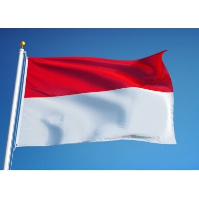 Indonezijos vėliava 2