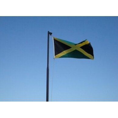 Jamaikos vėliava 2