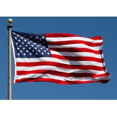 JAV vėliava