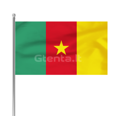 Kamerūno vėliava