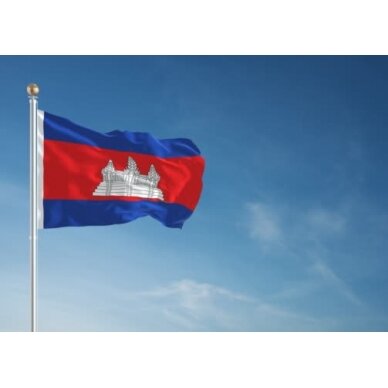 Kambodžos vėliava 2