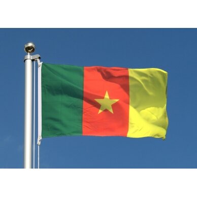Kamerūno vėliava 2