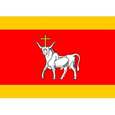 Kauno vėliava 3