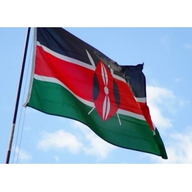 Kenijos vėliava 2