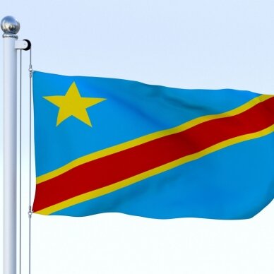 Kongo vėliava 2