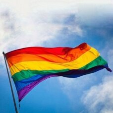 LGBT vėliava maunama ant koto