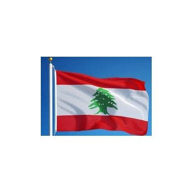 Libano vėliava 2