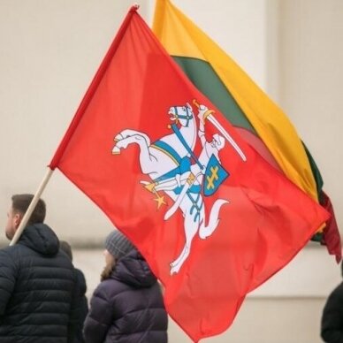 Lietuvos istorinė vėliava 150 x 250 cm maunama ant koto