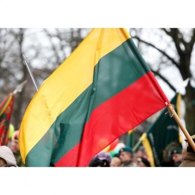 Lietuvos Respublikos vėliava 150 x 250 cm maunama ant koto 2
