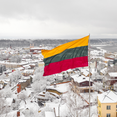 Lietuvos Respublikos vėliava 150 x 250 cm rišama prie stiebo 1