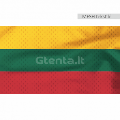 Lietuvos valstybinė vėliava MESH 1