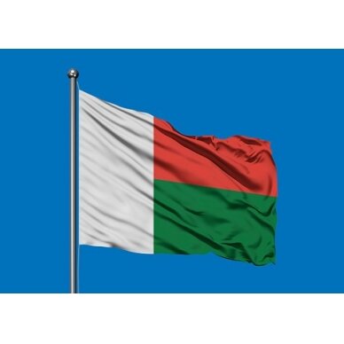 Madagaskaro vėliava 2