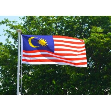 Malaizijos vėliava 2
