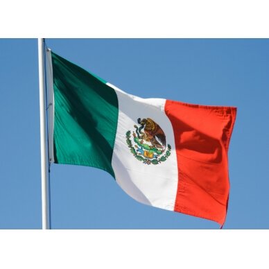 Meksikos vėliava 2