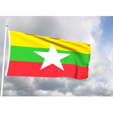 Mianmaro vėliava 2