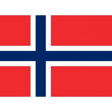 Norvegijos vėliava 2