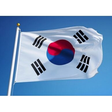 Pietų Korėjos vėliava 2