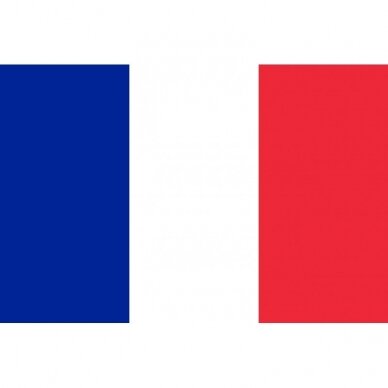 Prancūzijos vėliava 2