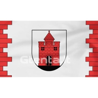 Žemaitijos vėliava su ,,runomis'' (su antkakliu) (3)