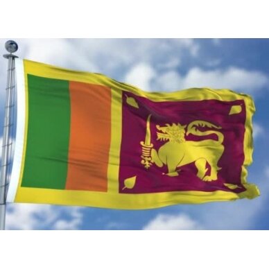 Šri Lankos vėliava 2