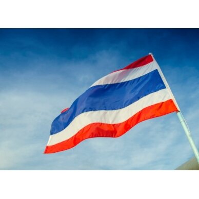 Tailando vėliava 2