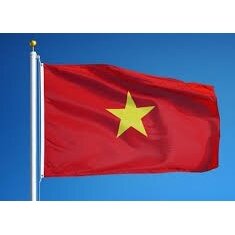 Vietnamo vėliava 2