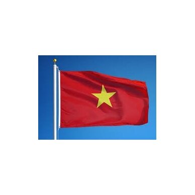 Vietnamo vėliava 2