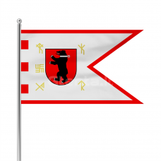 Žemaitijos vėliava su ,,runomis'' (su antkakliu)