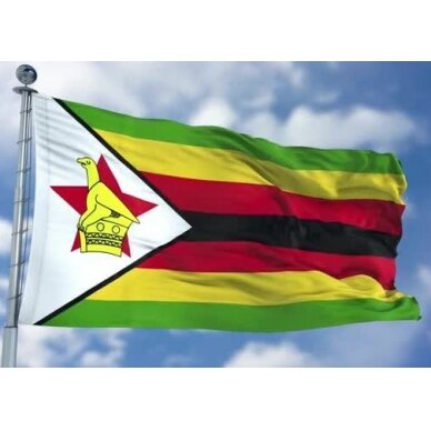 Zimbabvės vėliava 2